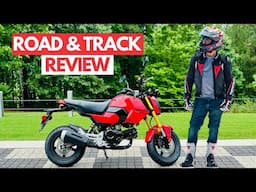 All New 2025 Honda Grom - is it REALLY WORTH the upgrade?