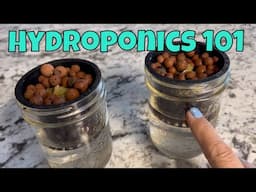 Direct Seeding in 3" Net Pots - 💦Hydroponics 101