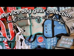 service dog gear collection || in training edition! :)