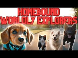 Top 10 Amazing Pet Reunions Worldwide | Worldly Explorers