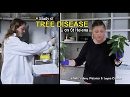 A Study of Tree Disease on St Helena - Amy Webster & Jayne Crozier