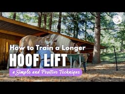 How to Train Your Horse to Hold Up Their Foot Longer – a Simple and Positive Technique