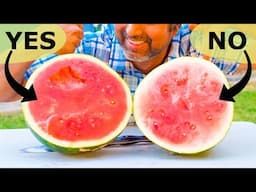 DO THIS to Pick a RIPE Watermelon EVERY SINGLE TIME