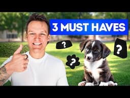 These 3 items saved my puppy training!