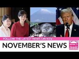 THIS MONTH'S NEWS in NOVEMBER 2024