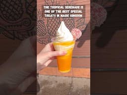 Tropical serenade - Coconut and POG juice float in Disney World’s Magic Kingdom #disney #disneyfood