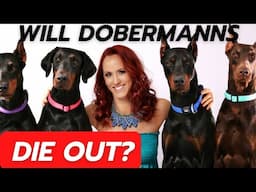 Will Dobermanns die out?