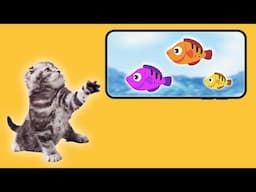 Let Your Cat Catch The Fish 🐟 Cat Fish Game 🎮 #catgames