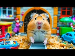 Navigating the Colorful Pop It Prison Maze 🌈  Hamster Daring Escape 🐹 Hamster Maze