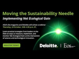 Net Ecological Gain: Improving Ecosystem Conservation Efforts