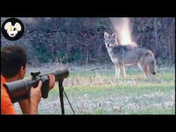 100 Coyote Insane Hunting Headshots #hunting #coyote #wildboar #huntingvideo #headshot