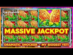 MASSIVE JACKPOT on Cash Crop Slots! MY BIGGEST YET on this game!