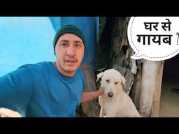 डब्बू को घर में जंजीर से बांध दिया || Pahadi Lifestyle Vlog || Cool Pahadi