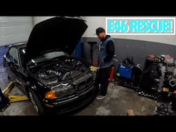 This BMW E46 Needs Serious HELP - VANOS rebuild and Timing Overhaul