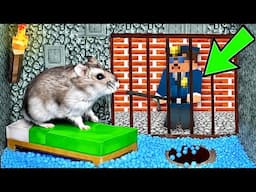 🐹ESCAPE MINECRAFT Hamster Maze with Traps 😱[OBSTACLE COURSE]😱