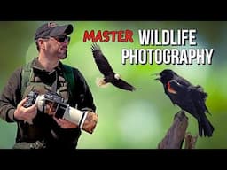 Twelve Beginner Steps to becoming a Great Wildlife Photographer I Wish I knew Sooner.