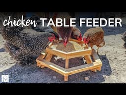 Chicken Table Feeder