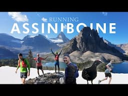 RUNNING ASSINIBOINE: The Wonder Pass Loop