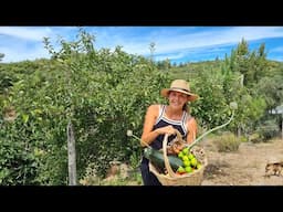 Living off the Land - preparing firewood & growing food!