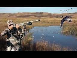 One of the Best Duck Hunts of My Life! 4 Man Limit of Big Ducks!