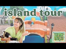 I flattened my island (animal crossing new horizons)