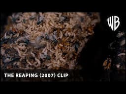 Maggot BBQ! | The Reaping (2007) | Warner Bros. UK