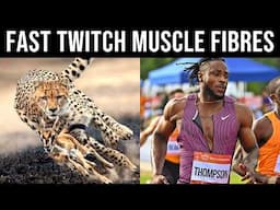 How To Become a FAST TWITCH Animal (Training Principles Explained)