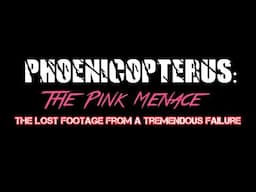 Lost Footage from a Tremendous Failure | PHOENICOPTERUS: The Pink Menace