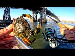 East River Fishing. Frozen Crab Tautog Fishing NYC