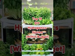 DIY Hydroponics System ideas! 🪴🍃 #hydroponics #ideas #homegarden #shortvideo