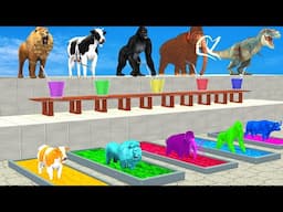 Cow Elephant Lion Gorilla Tiger T-Rex Guess the Mystery Drinks Paint Wild Animals Crossing Fountain