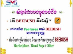 អ្វីទៅជា BEE BUSH ?? | តោះៗ មកស្គាល់ App​ របស់ខ្មែរទាំងអស់គ្នា