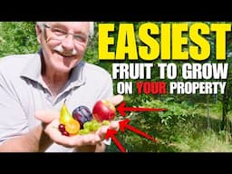 What FRUIT grows EASIEST on Your Site? The ANSWER is…