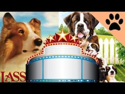 Top 5 Most Famous Dogs - Lassie, Beethoven and more