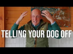 how and when to tell your dog off