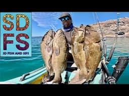 Golden Reef Leopard Grouper (Cabrilla Sardinera) Fishing | Solo Skiff Baja California Sea of Cortez