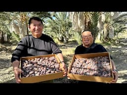 Paano KUMITA ng MILLIONS US$ sa DATES FARMING? Bakit HINDI PWEDE ang DATES FARM sa Pinas?