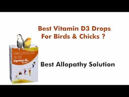 EXTREME Vitamin D3 Drops for Birds and Chicks Revealed! By@santanubirdscare