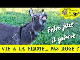 VLOG 22 ~ VIE A LA FERME : (pas) TOUJOURS ROSE ? Entre joies et galères