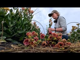 #29 Harvesting Dahlias, Nematodes, Fall Lisianthus Blooms