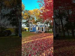 Tiny House Through The Seasons #shorts