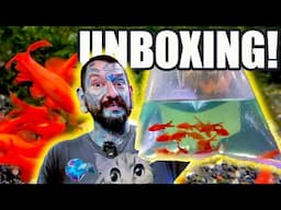 UNBOXING AMAZING TROPICAL FISH! Pauls Aquariums