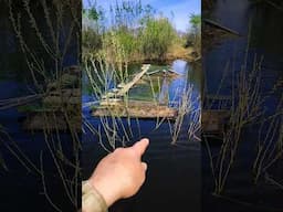 Рыбалка.Залезли в дебри #fishing #рыбалка #shorts