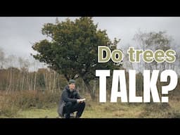 STORY TIME AND A WALK IN THE NEW FOREST | LISTENING TO TREES