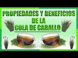 [ Cola de Caballo ] Propiedades y Beneficios