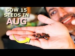 15 Seeds You MUST Grow in August