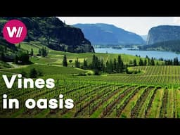 Canada - Wines from a natural treasure valley | Worldwide Wine Civilizations