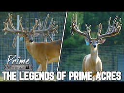 The Next Big Names in the Deer Industry! | Prime Acres Whitetails 2023