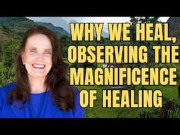 Why we heal, observing the magnificence of healing