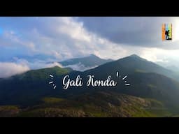 Galikonda Peak | Drone Shots | Second Highest peak of Andhra Pradesh | Hikoi Adventures